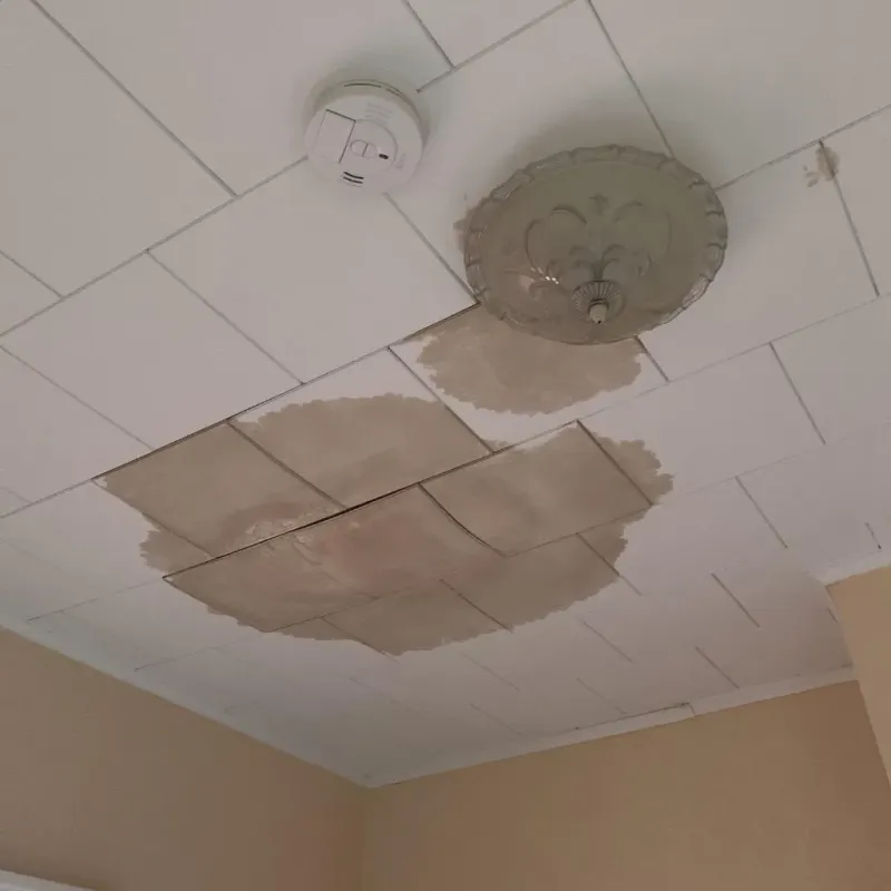 Ceiling Water Damage Repair in Mulberry, AR